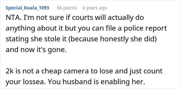 A Reddit comment suggests filing a police report for a stolen camera, advising to sue irresponsible sister-in-law.