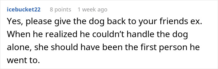 Comment urging to return dog to friend's ex due to handling difficulties. Comment urging to return dog to friend's ex due to handling difficulties.