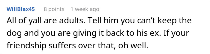 Comment advising to give old dog back to ex despite friendship. Comment advising to give old dog back to ex despite friendship.
