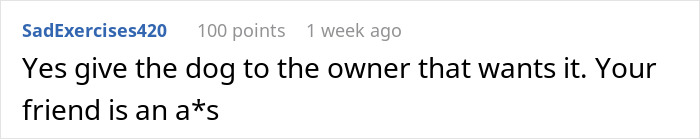 Comment encouraging to give dog back to owner who wants it, criticizing friend Comment encouraging to give dog back to owner who wants it, criticizing friend