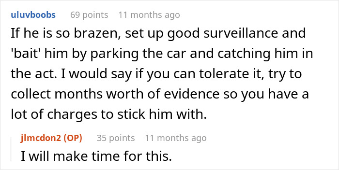 Advice on using surveillance to gather evidence against vandalizing neighbor