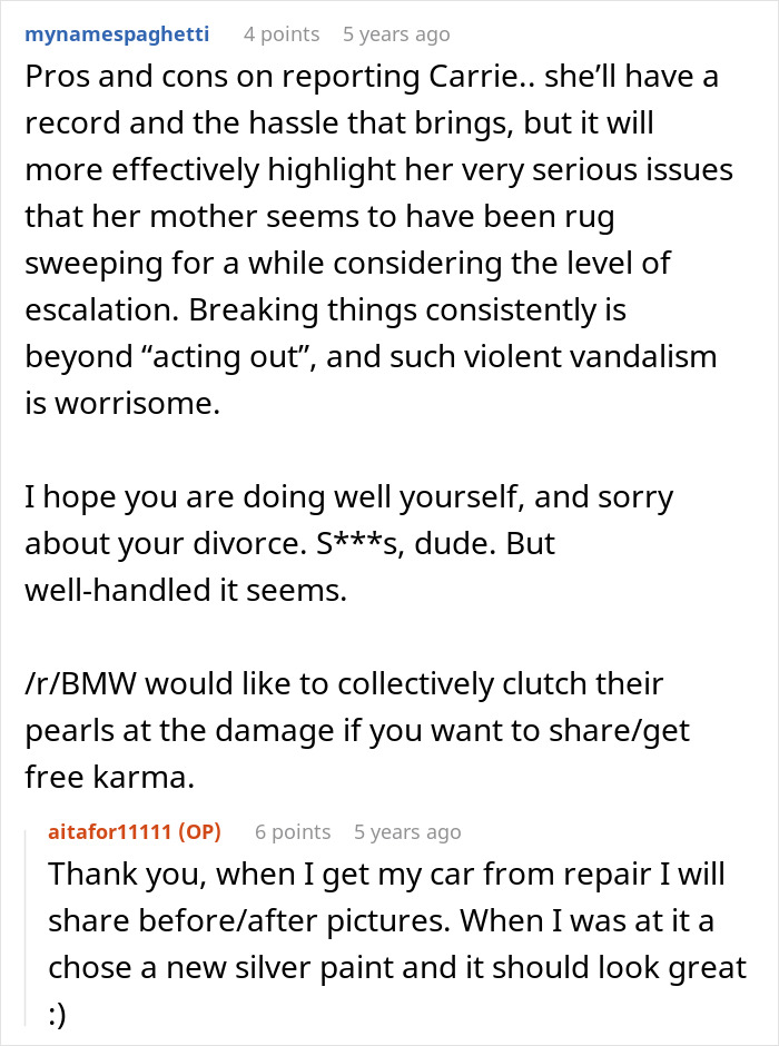 Discussion of pros and cons of reporting teenage stepdaughter car vandalism