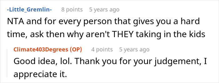 Reddit comment advising 23YO to question critics about taking in kids Reddit comment advising 23YO to question critics about taking in kids