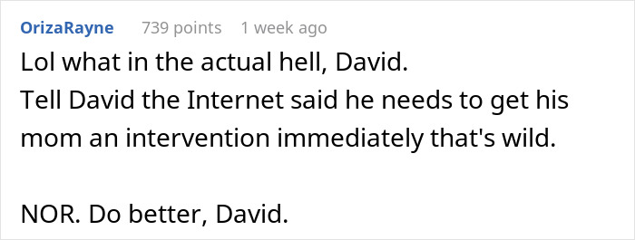 Internet user comment calling for intervention for mom's unhinged behavior Internet user comment calling for intervention for mom's unhinged behavior