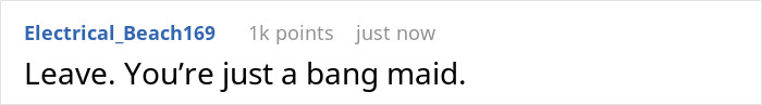 A Reddit comment from Electrical_Beach169, with 1k points, stating "Leave. You're just a bang maid." addressing the maid keyword.