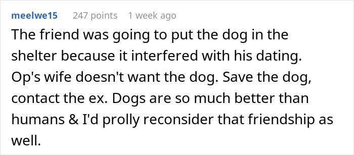 Comment urging to save dog from shelter, suggesting contacting ex owner for dog's care Comment urging to save dog from shelter, suggesting contacting ex owner for dog's care