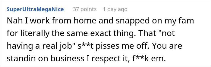 Comment sharing personal experience snapping at family over dismissing work from home as not a real job Comment sharing personal experience snapping at family over dismissing work from home as not a real job