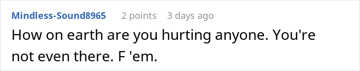 A comment from Mindless-Sound8965 on a forum discussing a developer as a budget burden, with 2 points, 3 days ago.