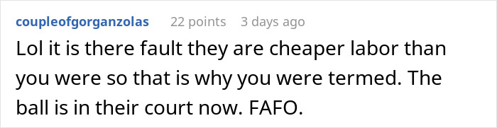 Reddit comment about a company considering a developer a budget burden, highlighting cheaper labor and system failure implications.