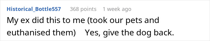Comment about ex euthanizing pets and opinion to give dog back Comment about ex euthanizing pets and opinion to give dog back