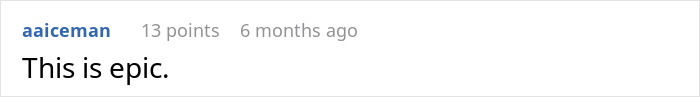 A white background with the username "aaiceman" in blue, 13 points, 6 months ago, and the text "This is epic." referring to the employee walking away and charging.