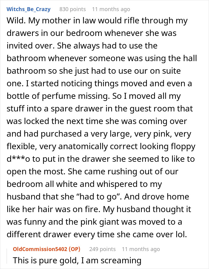 A humorous Reddit post detailing a MIL broke in son house on Valentines Day by searching drawers and being pranked.