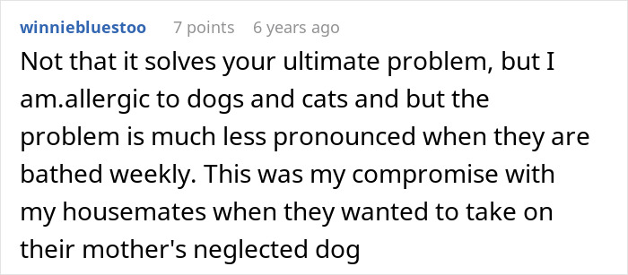 A user comment about compromise with roommates over a neglected dog, addressing allergy issues and defending herself.