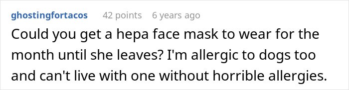 A comment suggests a HEPA mask for dog allergies, a common roommate conflict after someone put her life at risk.
