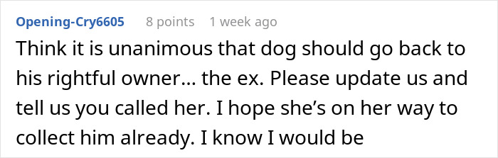 Comment saying dog should return to ex rightful owner Comment saying dog should return to ex rightful owner