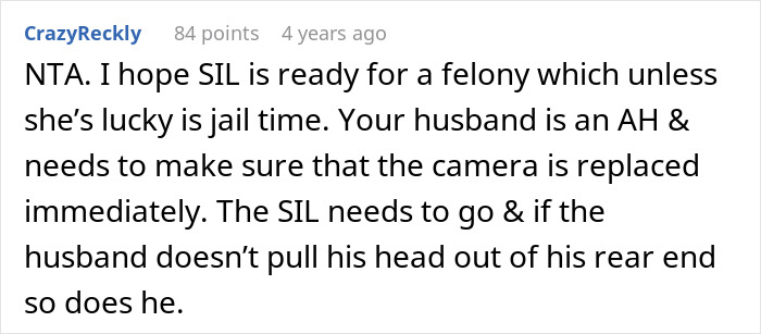 A Reddit comment advises a woman to sue her irresponsible sister-in-law for a felony. The husband's suggested fix made it worse.