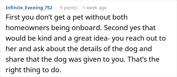 Comment on importance of mutual consent in pet adoption in spiteful dog custody case Comment on importance of mutual consent in pet adoption in spiteful dog custody case