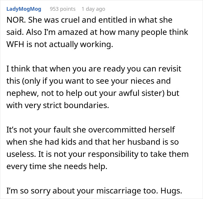 Reddit comment on cruel sister, work from home and setting boundaries with free babysitting Reddit comment on cruel sister, work from home and setting boundaries with free babysitting