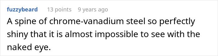 Comment describing a shiny chrome-vanadium steel spine Comment describing a shiny chrome-vanadium steel spine