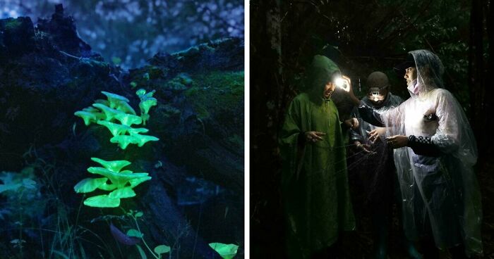 68 Folks Share The Nighttime Photos That Made Them Realize How Small We Truly Are