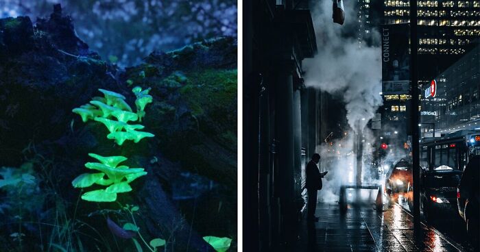 68 Folks Share The Nighttime Photos That Made Them Realize How Small We Truly Are