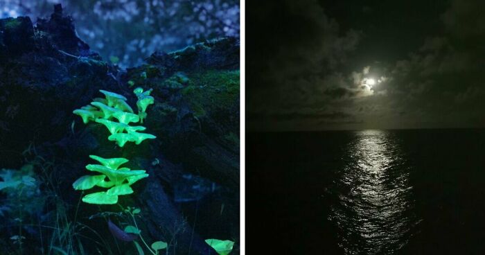 68 Folks Share The Nighttime Photos That Made Them Realize How Small We Truly Are