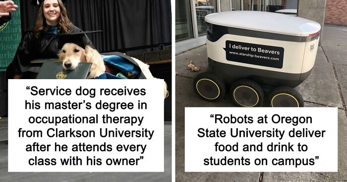 “Therapy Cat”: 72 Times Schools And Universities Made Their Students’ Lives Better (New Pics)