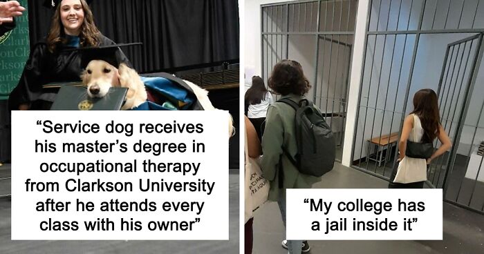 “Therapy Cat”: 72 Times Schools And Universities Made Their Students’ Lives Better (New Pics)
