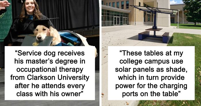 “Therapy Cat”: 72 Times Schools And Universities Made Their Students’ Lives Better (New Pics)