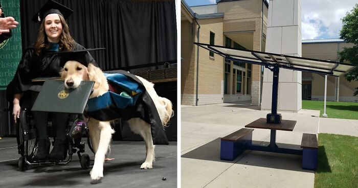 “Therapy Cat”: 72 Times Schools And Universities Made Their Students’ Lives Better (New Pics)