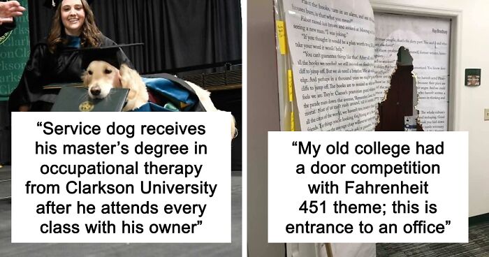“Therapy Cat”: 72 Times Schools And Universities Made Their Students’ Lives Better (New Pics)