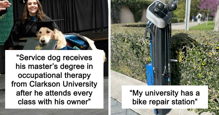 “Therapy Cat”: 72 Times Schools And Universities Made Their Students’ Lives Better (New Pics)