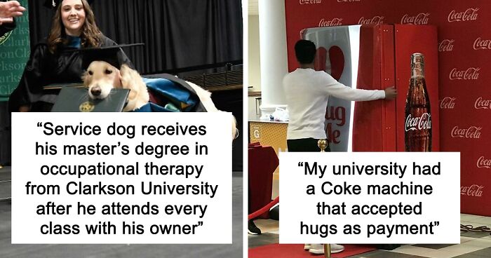 “Therapy Cat”: 72 Times Schools And Universities Made Their Students’ Lives Better (New Pics)