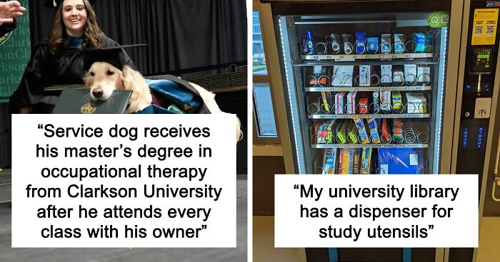 “Therapy Cat”: 72 Times Schools And Universities Made Their Students’ Lives Better (New Pics)