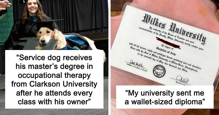 “Therapy Cat”: 72 Times Schools And Universities Made Their Students’ Lives Better (New Pics)