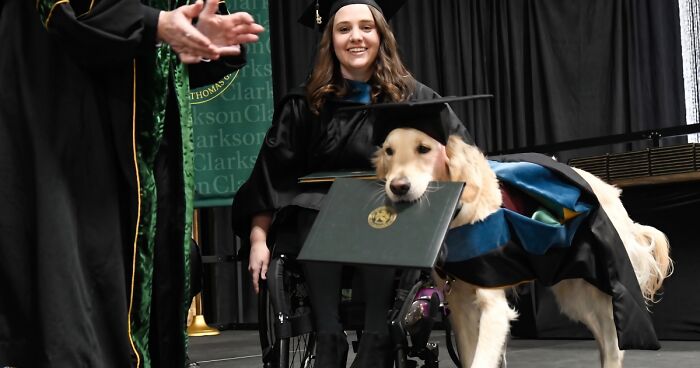 “Therapy Cat”: 72 Times Schools And Universities Made Their Students’ Lives Better (New Pics)