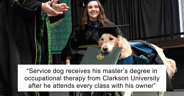 “Therapy Cat”: 72 Times Schools And Universities Made Their Students’ Lives Better (New Pics)