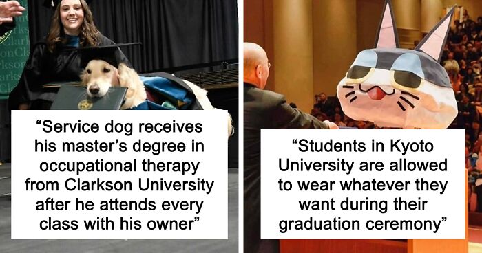 “Therapy Cat”: 72 Times Schools And Universities Made Their Students’ Lives Better (New Pics)