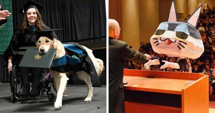 “Therapy Cat”: 72 Times Schools And Universities Made Their Students’ Lives Better (New Pics)