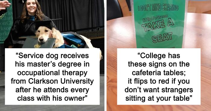 “Therapy Cat”: 72 Times Schools And Universities Made Their Students’ Lives Better (New Pics)