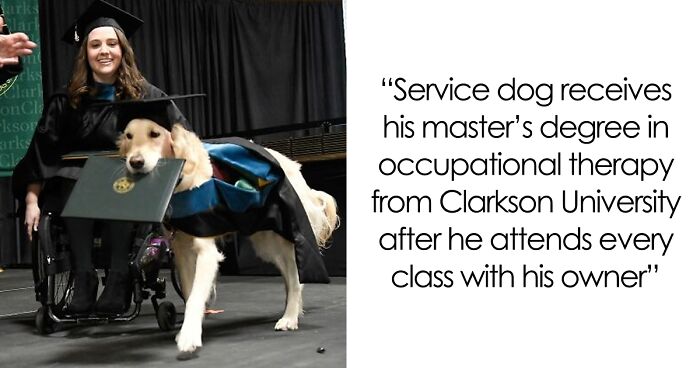 “Therapy Cat”: 72 Times Schools And Universities Made Their Students’ Lives Better (New Pics)
