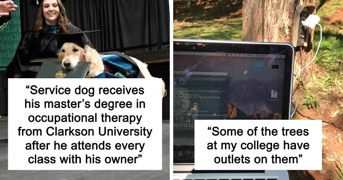 “Therapy Cat”: 72 Times Schools And Universities Made Their Students’ Lives Better (New Pics)