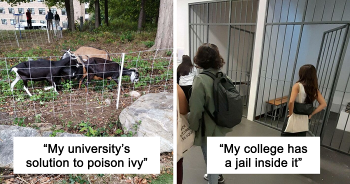 “Therapy Cat”: 72 Times Schools And Universities Made Their Students’ Lives Better (New Pics)