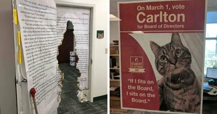 “Therapy Cat”: 72 Times Schools And Universities Made Their Students’ Lives Better (New Pics)