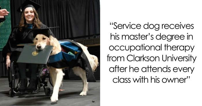 “Therapy Cat”: 72 Times Schools And Universities Made Their Students’ Lives Better (New Pics)