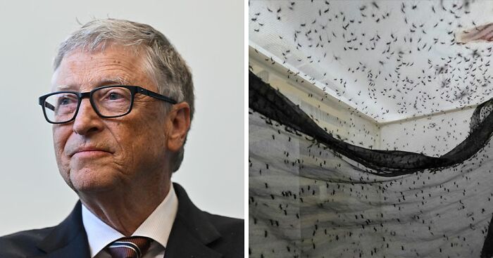 “Villain Origin Story”: Bill Gates’ ‘Mutant’ Mosquito Factory Goes Viral After People Learn What It’s For