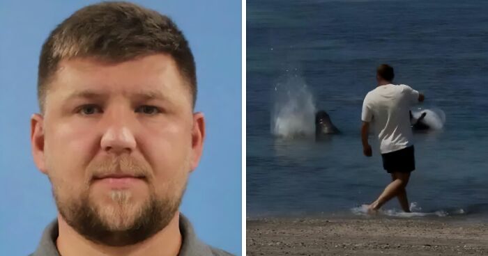 Entitled Tourist Who Threw A Rock At Beloved Hawaiian Seal Before yelling ‘I’m Rich’ Officially Charged