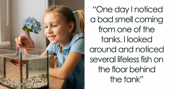 9YO Hurts Babysitter’s Fish And Mom Dismisses It, Babysitter Cuts Her Off And Suggests Therapy