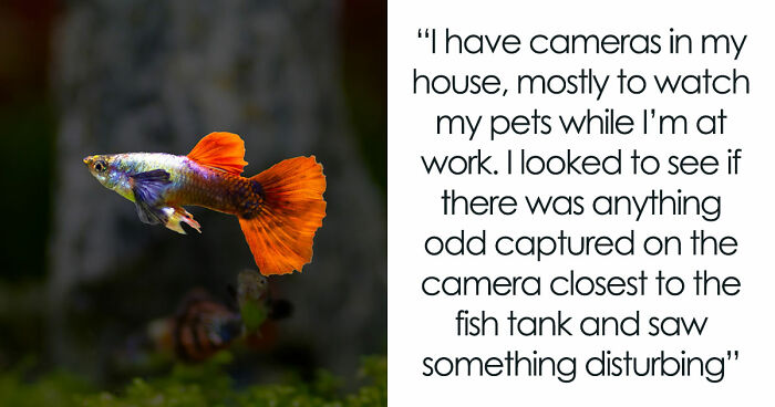 9YO Hurts Babysitter’s Fish And Mom Dismisses It, Babysitter Cuts Her Off And Suggests Therapy