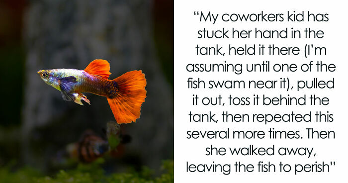 9YO Hurts Babysitter’s Fish And Mom Dismisses It, Babysitter Cuts Her Off And Suggests Therapy